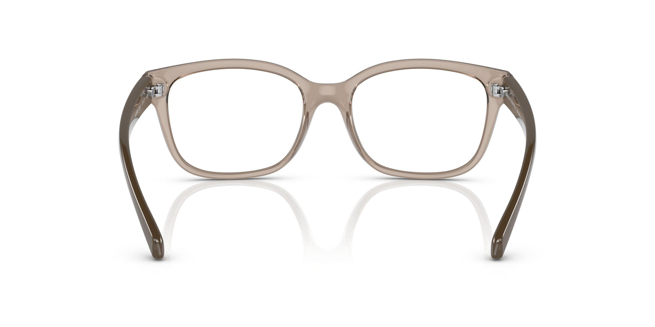 8240 - Brown
