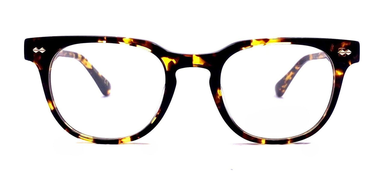 TT - Tortoise