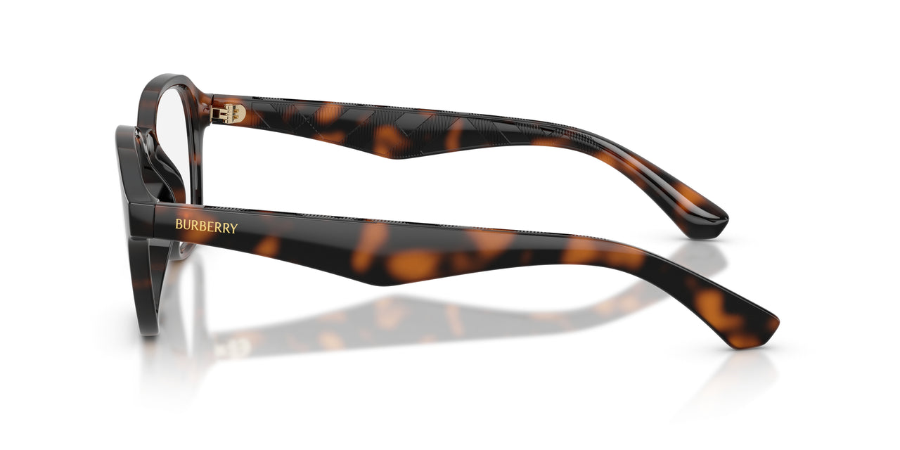 3002 - Brown