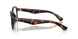 3002 - Brown