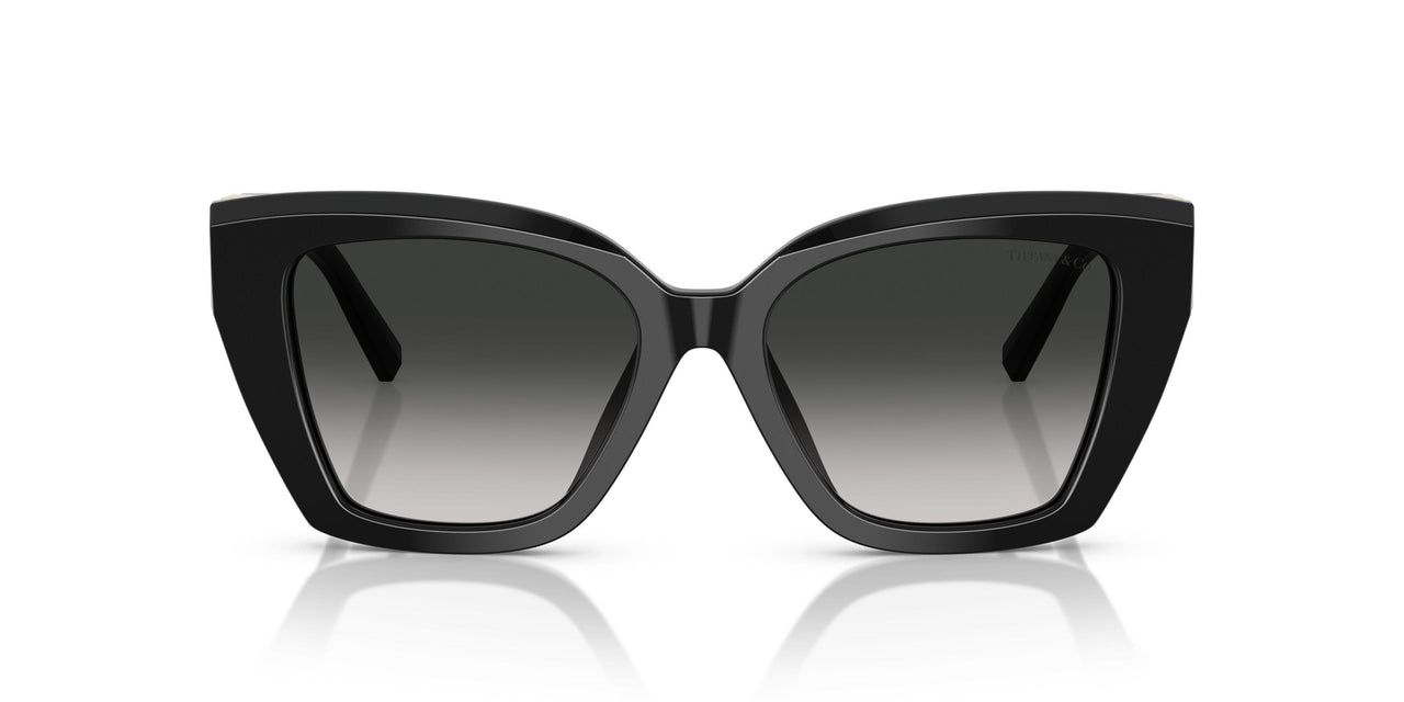 80013C - Black - Grey Gradient