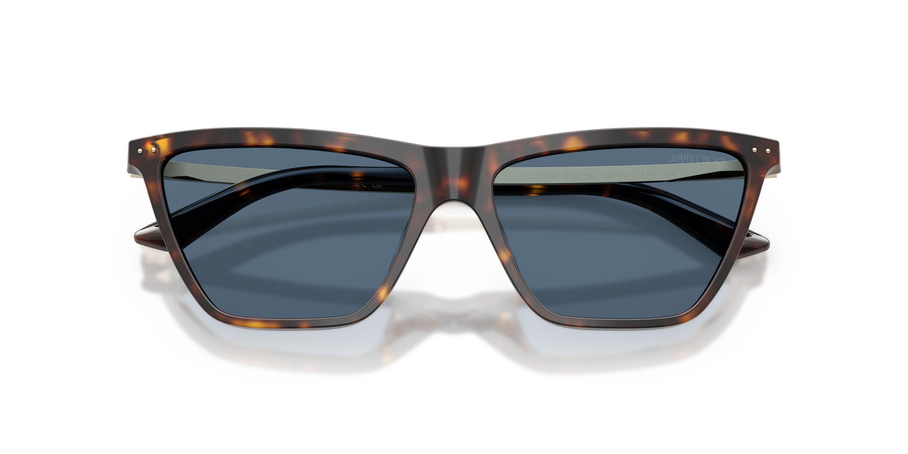 500280 - Tortoise - Dark Blue
