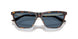 500280 - Tortoise - Dark Blue