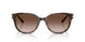 500213 - Tortoise - Gradient Brown