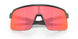 946304 - Grey - Prizm Trail Torch