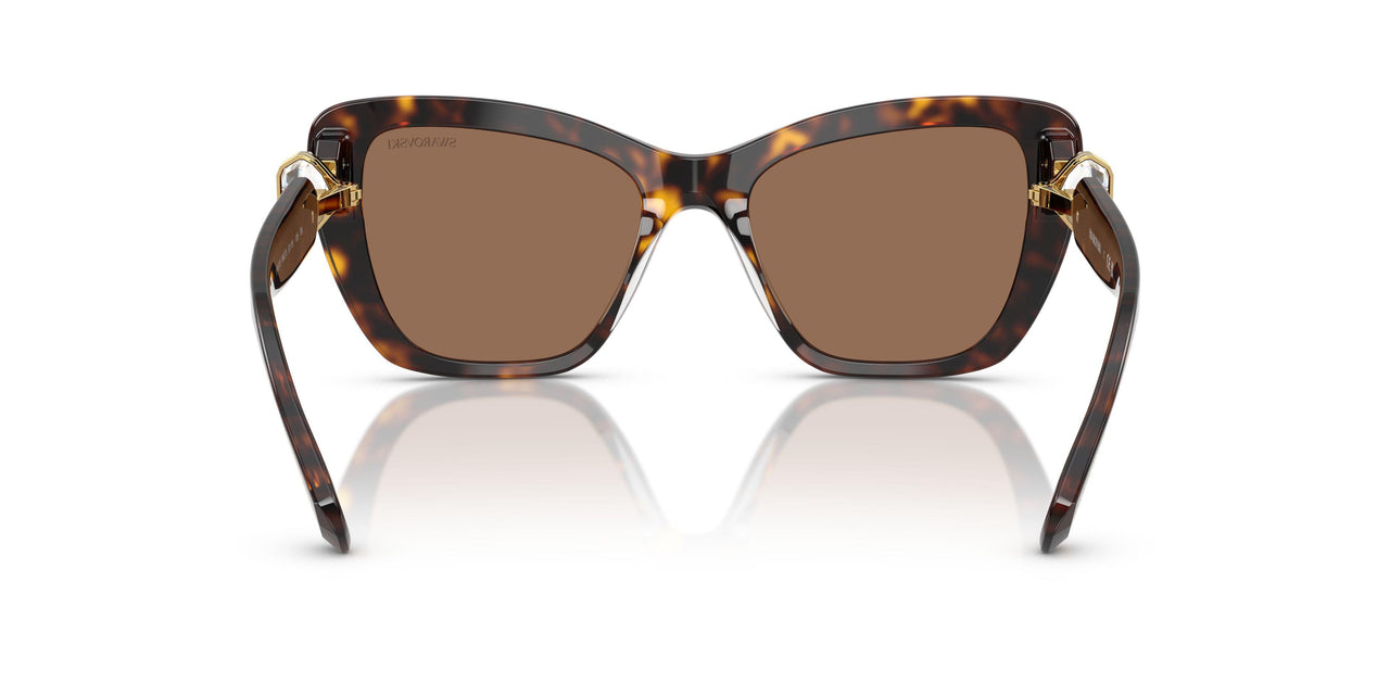 100273 - Tortoise - Dark Brown