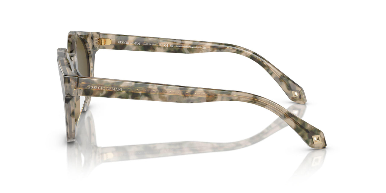 601773 - Beige - Dark Brown