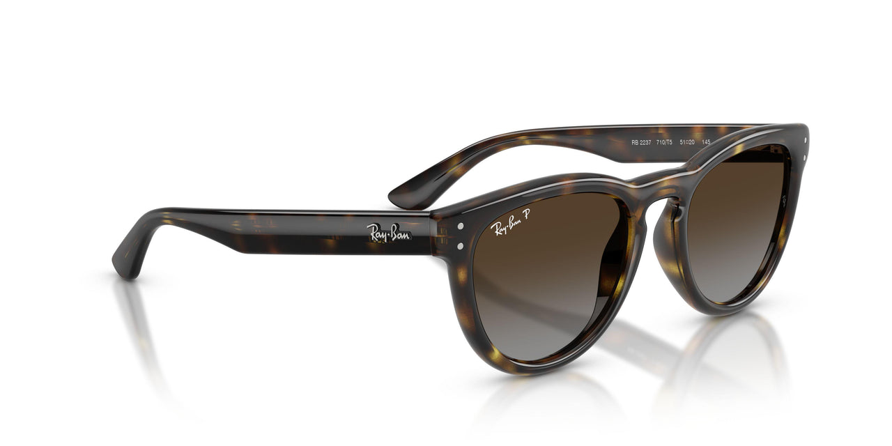 710/T5 - Tortoise - Polarized Light Grey Gradient Brown