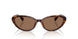 614913 - Tortoise - Brown