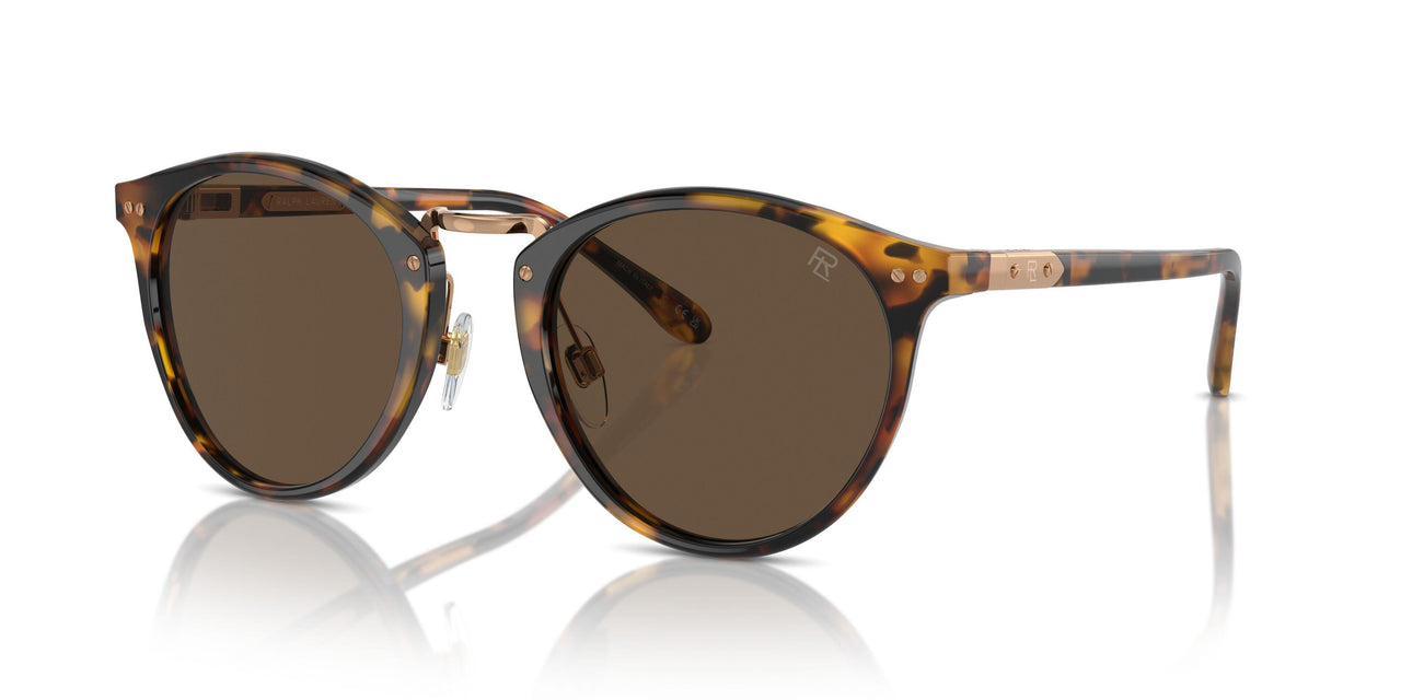 513453 - Tortoise - Brown