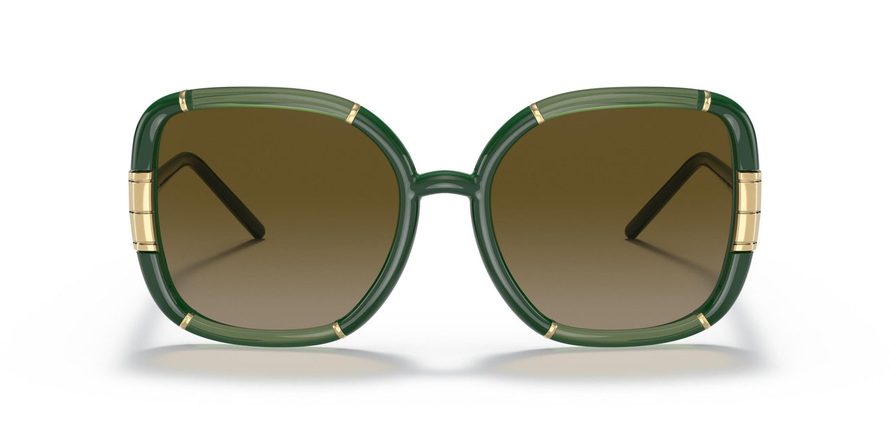189713 - Green - Olive Gradient