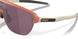924813 - Brown - Prizm Black