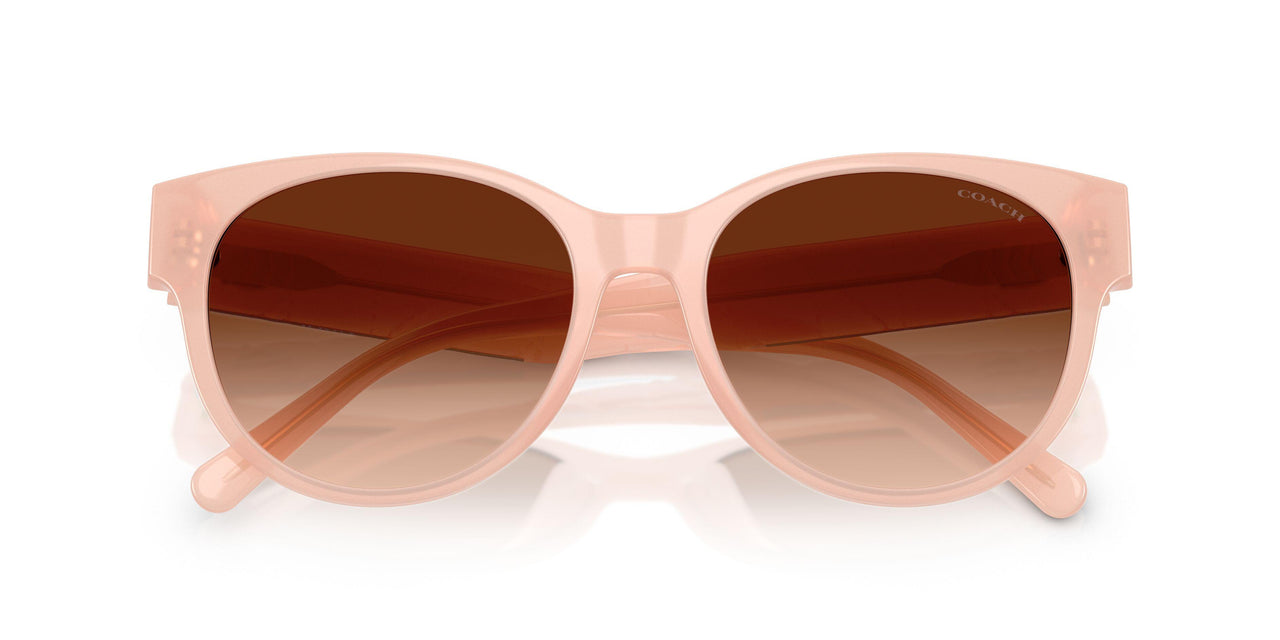 511374 - Pink - Brown Gradient