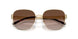 334613 - Gold - Brown Gradient