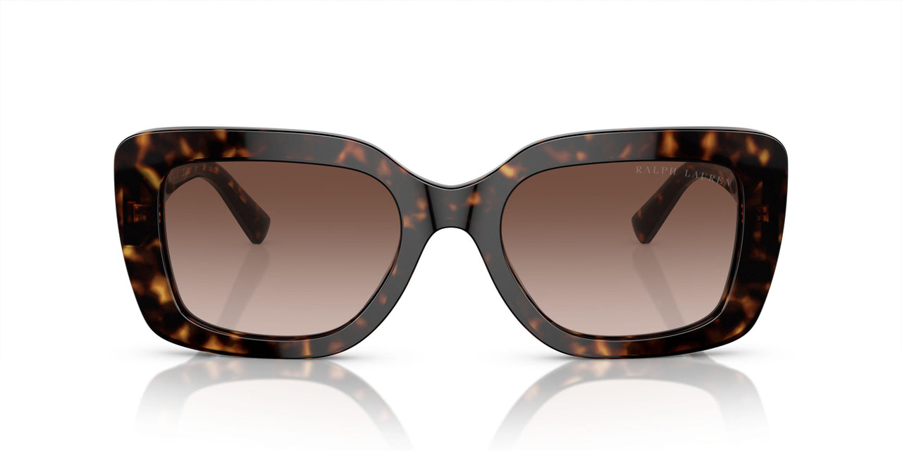 500313 - Tortoise - Gradient Brown