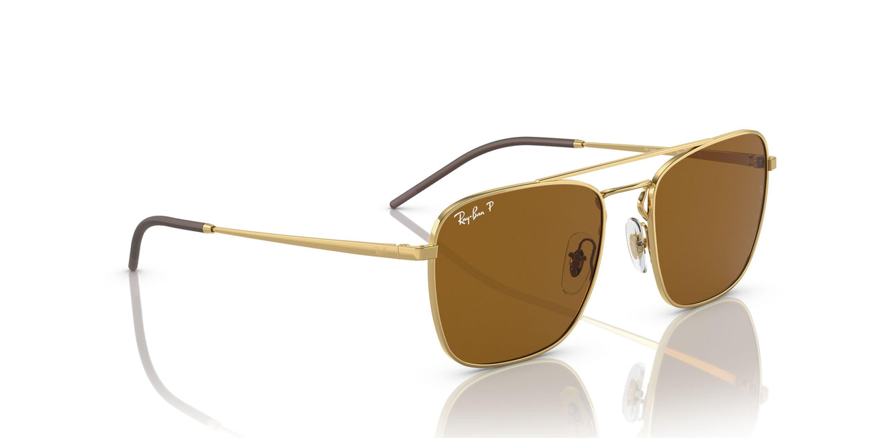 925083 - Gold - Dark Brown Polar