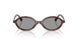 21C40O - Tortoise - Grey