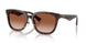300213 - Brown - Brown Gradient