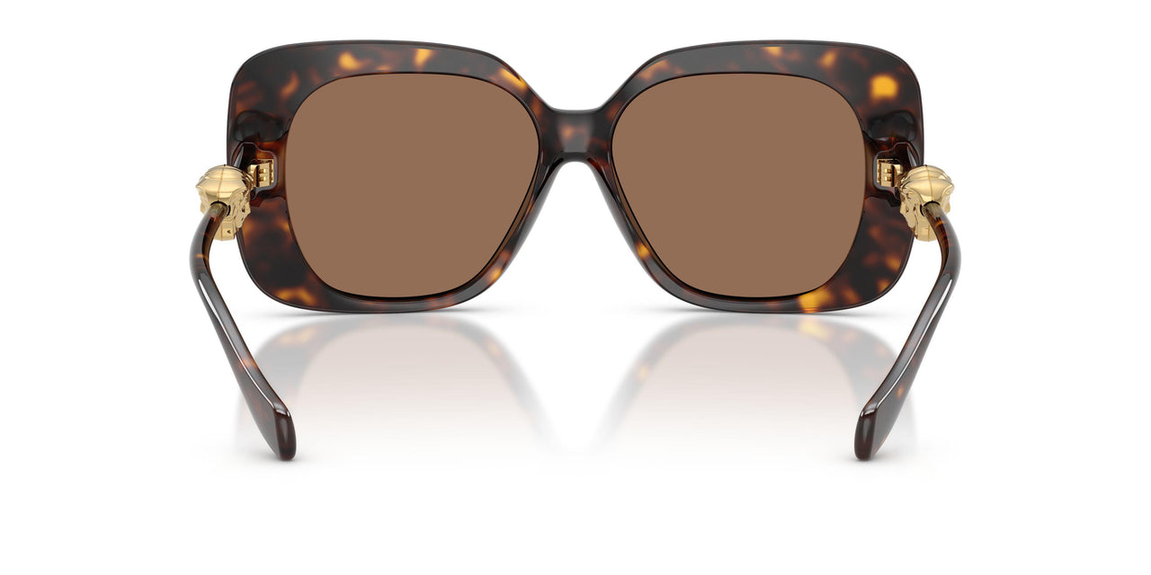 108/73 - Tortoise - Dark Brown
