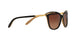 1090T5 - Black - Brown Gradient Polarized