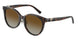 Tiffany 4209D Sunglasses
