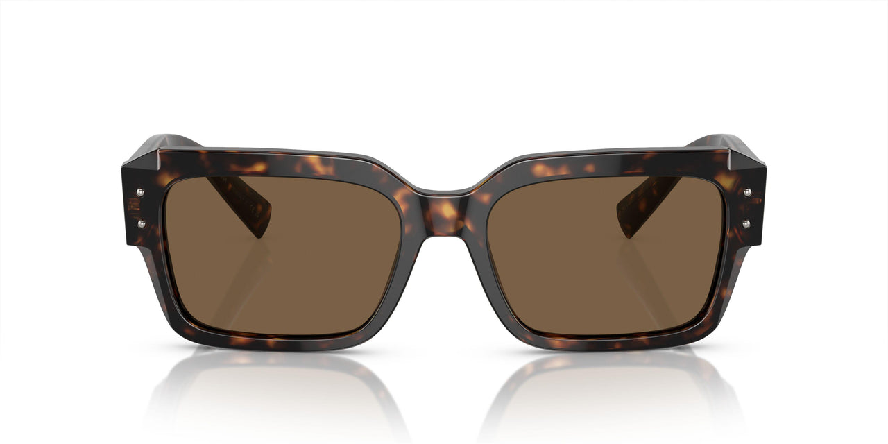 502/73 - Tortoise - Dark Brown