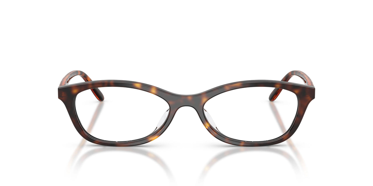 W656 - Brown