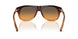 348618 - Brown - Orange Gradient Light Green