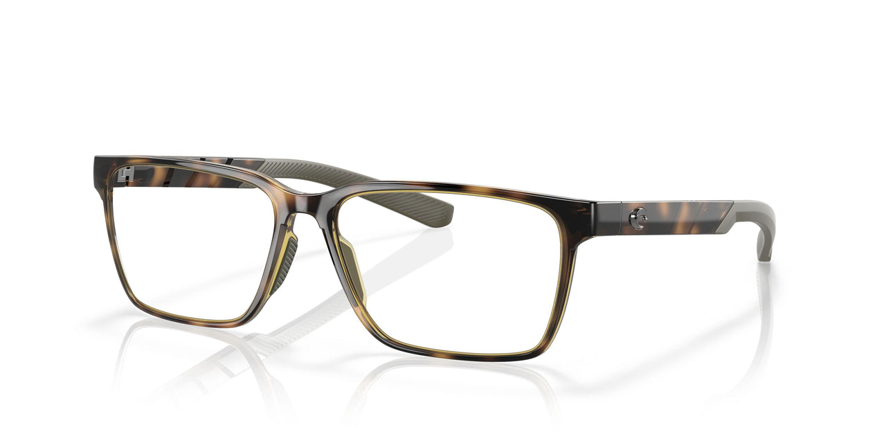 801702 - Tortoise