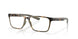 801702 - Tortoise