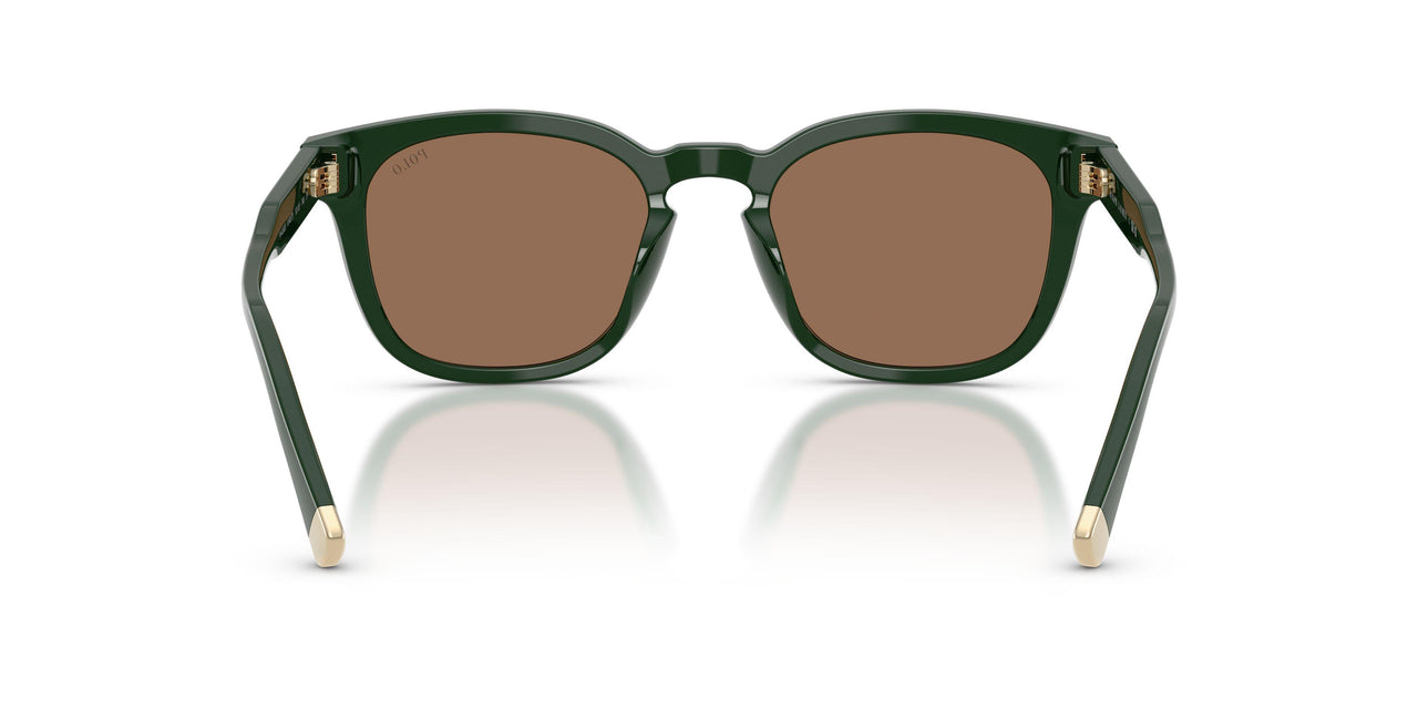 614073 - Green - Dark Brown
