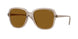Vogue Eyewear 5601S Sunglasses