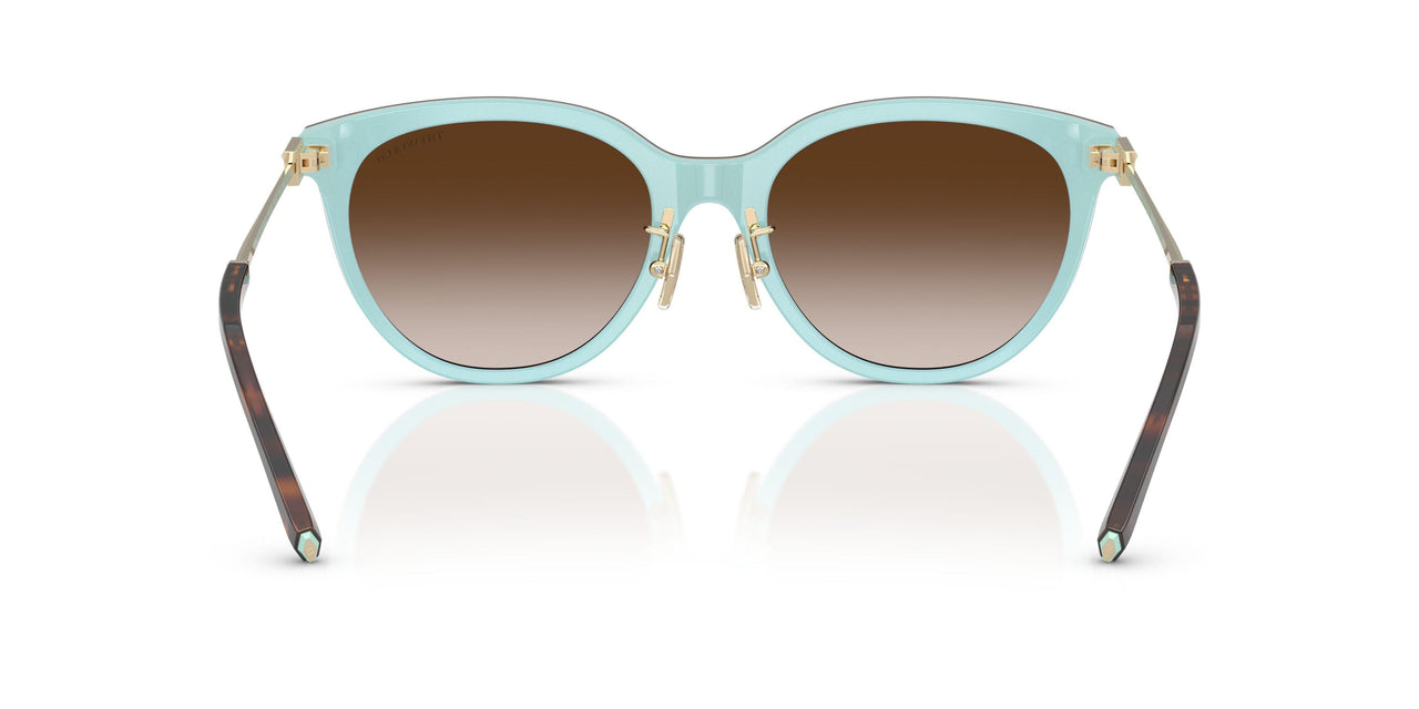 81343B - Brown - Brown Gradient
