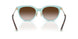 81343B - Brown - Brown Gradient