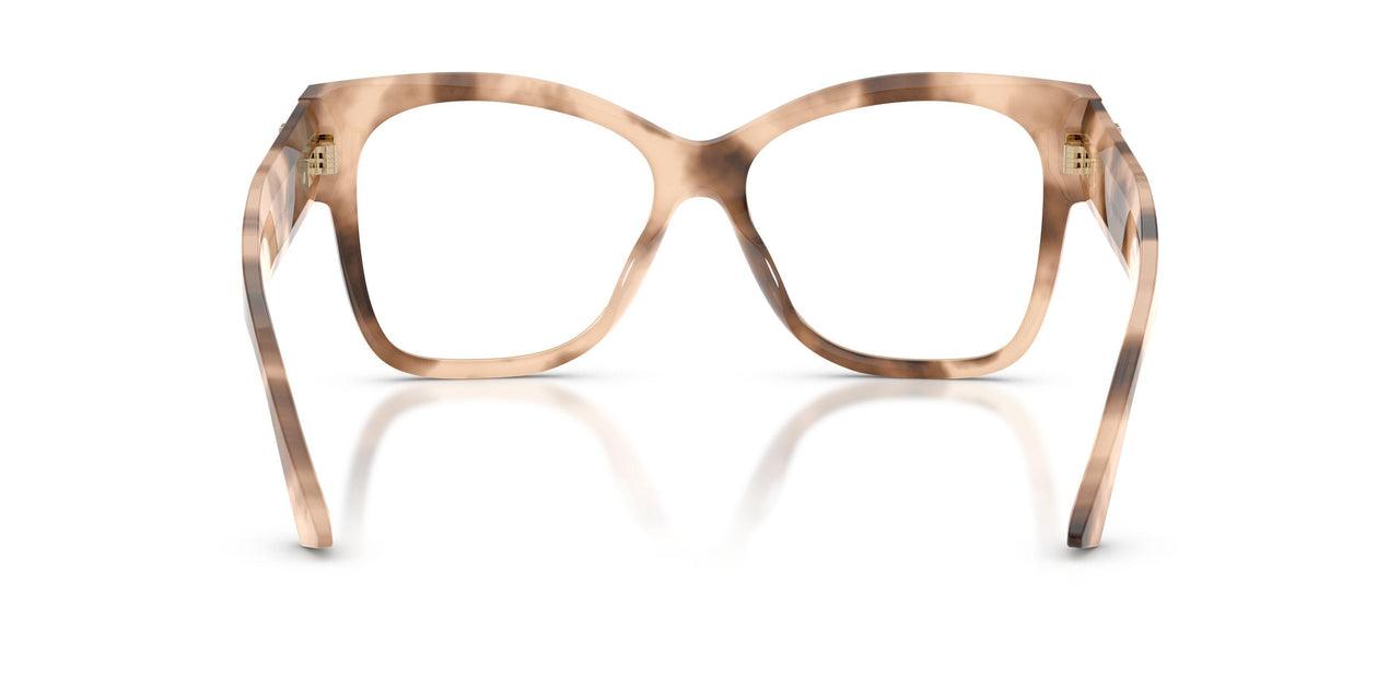 5097 - Tortoise