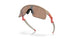 901017 - Brown - Prizm Tungsten