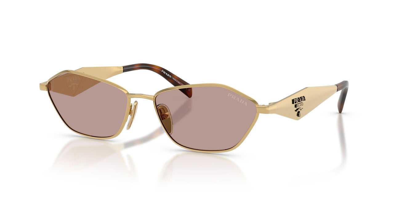 5AK20I - Gold - Light Purple Brown