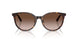 500213 - Tortoise - Gradient Brown