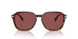 579875 - Dark Tortoise/caramel Tortoise - Violet