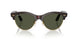990/31 - Havana - Green