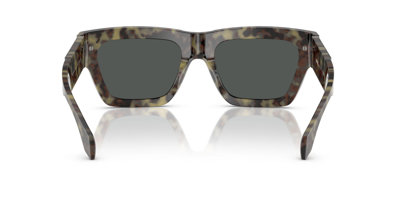 545687 - Tortoise - Dark Grey
