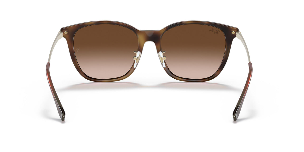 710/13 - Tortoise - Brown Gradient Dark Brown