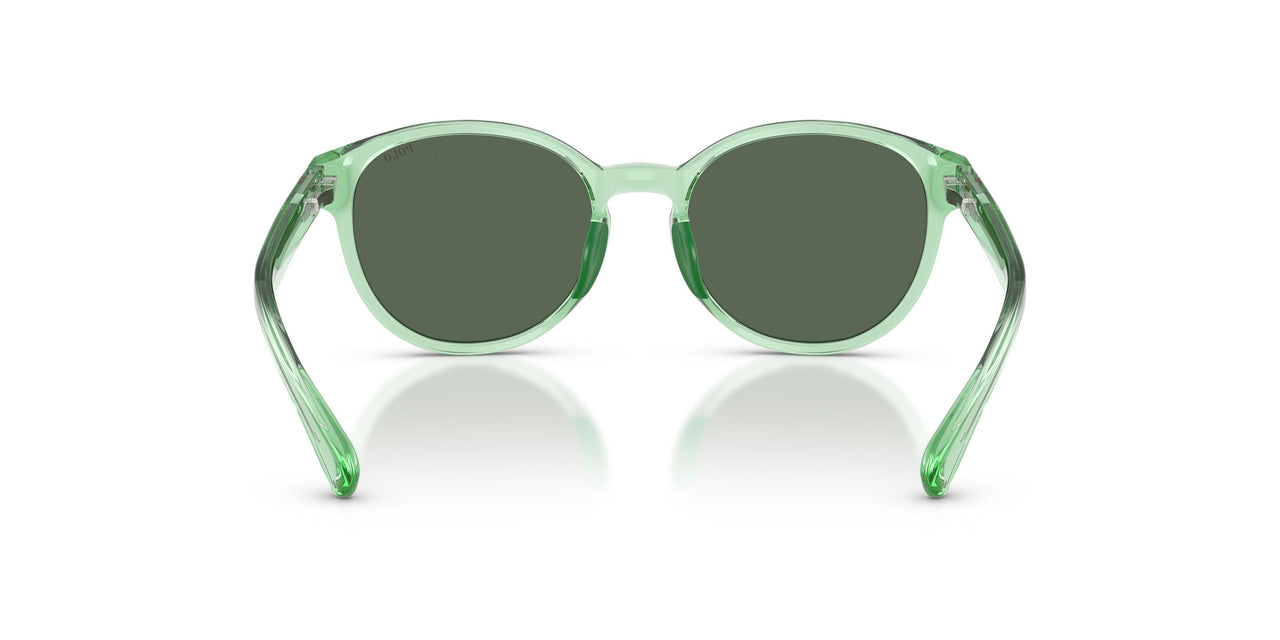 625071 - Green - Dark Green