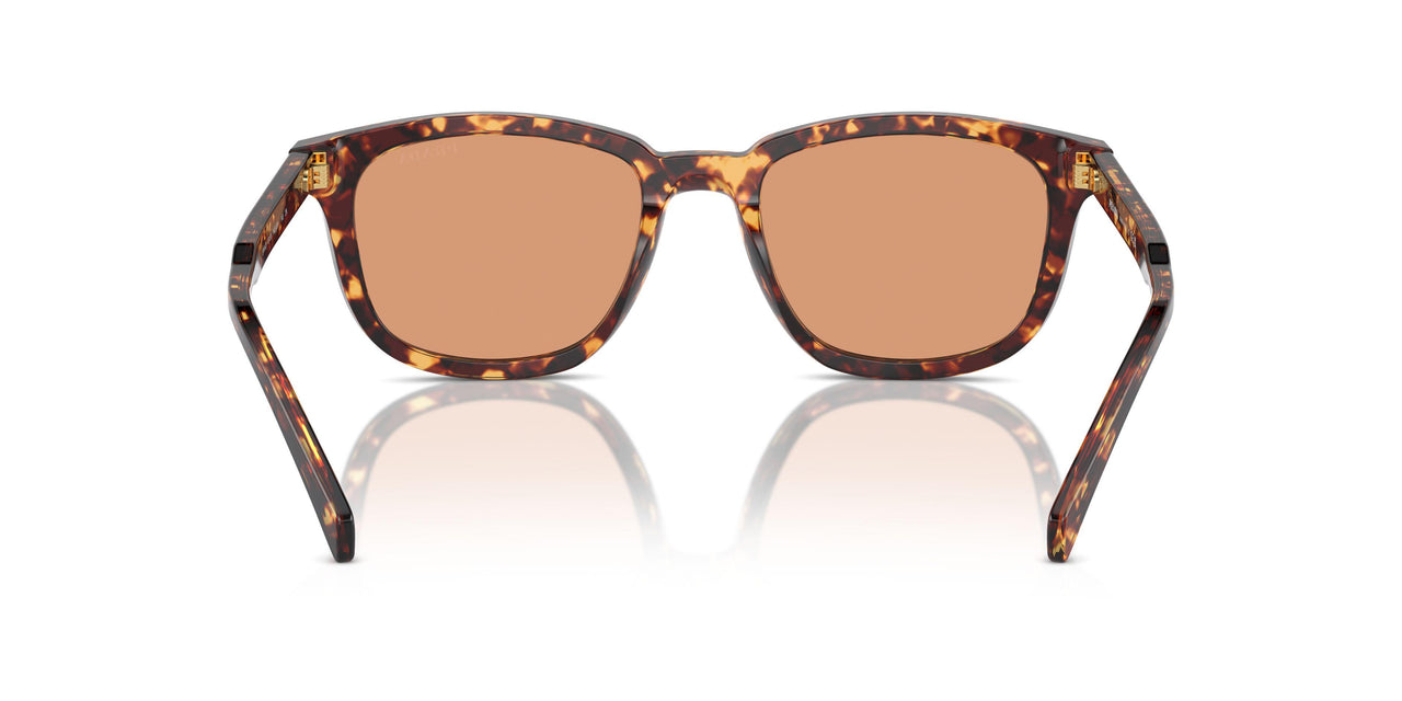 14O07V - Tortoise - Orange