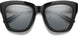 20588980752M9 - Polarized Gray