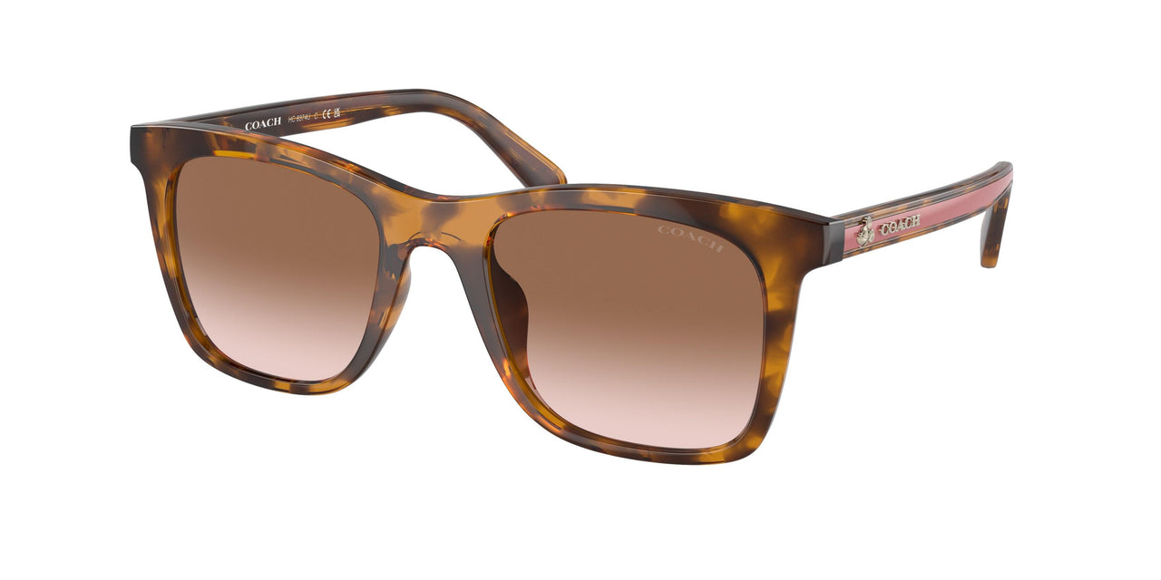 512013 - Tortoise - Brown Pink Gradient