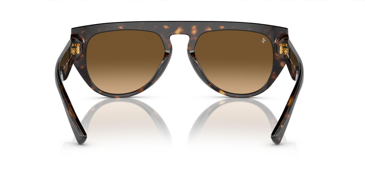 702/M2 - Tortoise - Polarized Brown Gradient