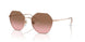 507514 - Pink - Pink Gradient Brown