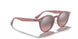 616613 - Turtledove - Brown Gradient