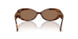 347073 - Brown - Dark Brown